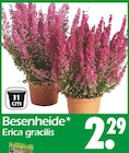 Wreesmann Aurich Prospekt mit  im Angebot für 2,29 €