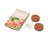 Aktuelles Minigarten in der Papiertüte, Tomate Angebot bei Tchibo im Supermarkt in Siegen (Universitätsstadt) ab 3,99 €