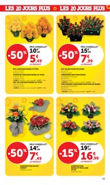 Chrysanthèmes en promo dans le catalogue Hyper U à la page 39