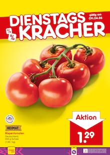 Blumen im Netto Marken-Discount Prospekt "Aktuelle Angebote" mit 67 Seiten (Mönchengladbach)