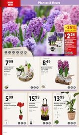 Fleurs Angebote im Prospekt "Let's Party !" von Lidl auf Seite 24