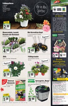 Walnuss Angebot im EDEKA Prospekt, gültig von 20.03.2023 bis 25.03.2023 Walnuss Angebot im aktuellen EDEKA Prospekt auf Seite 3