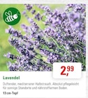 Lavendel im Angebot bei ZG Raiffeisen in Freiburg Lavendel Angebote bei ZG Raiffeisen Freiburg für 2,99 €