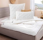 Ganzjahresbett Silver Fresh im Segmüller Prospekt Ganzjahresbett Silver Fresh von Billerbeck im aktuellen Segmüller Prospekt für