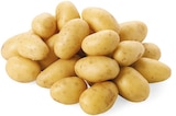 Speisekartoffeln bei nahkauf im Nußloch Prospekt für 1,39 €