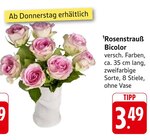 E center Rosenhof - Rosenstrauß Bicolor Angebot im Prospekt Rosenstrauß Bicolor bei E center im Rosenhof Prospekt für 3,49 €