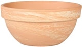 Aktuelles Pflanzschale "Levy" Angebot bei Thomas Philipps in Magdeburg ab 7,99 €