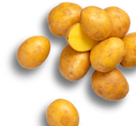 Kaufland Bad Neustadt - dtsch. Speisekartoffeln Angebot im Prospekt dtsch. Speisekartoffeln bei Kaufland im Bad Neustadt Prospekt für 1,79 €