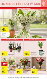 Plante Verte en promo dans le catalogue Carrefour à la page 64