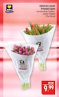 Premium Tulpen Angebote von EDEKA Herzstücke bei Marktkauf Erlangen für 9,99 €