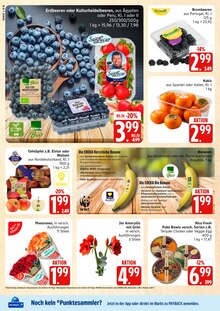 Pflanzen Angebot im aktuellen Marktkauf Prospekt auf Seite 8