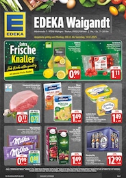 EDEKA Prospekt für Kitzingen mit 28 Seiten EDEKA Prospekt "Wir lieben Lebensmittel!" für Kitzingen, 28 Seiten, 08.12.2025 - 13.12.2025