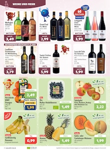 Aktueller aktiv & irma Prospekt "Top Angebote" Seite 2 von 16 Seiten für Oldenburg