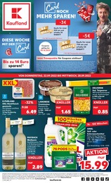 Aktueller Kaufland Prospekt Kaufland Prospekt mit 43 Seiten