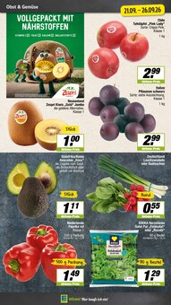 Äpfel im EDEKA Prospekt "Aktuelle Angebote" mit 15 Seiten (Münster)