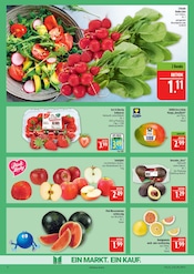 Aktueller Marktkauf Prospekt mit Gemüse, "AUSWAHL RIESIG, PREISE NIEDRIG", Seite 8
