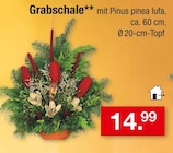 Aktuelles Grabschale Angebot bei Zimmermann in Bremen ab 14,99 €