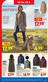 Damenbekleidung im Lidl Prospekt in Darmstadt Aktueller Lidl Prospekt mit Damenbekleidung, "LIDL LOHNT SICH", Seite 39