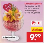 Orchideengesteck bei Netto Marken-Discount im Prospekt "" für 9,99 €