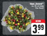 Tulpen "Karneval" Angebote bei E center Hof für 3,99 €