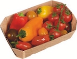 Bio-Snack-Tomaten-Paprika Mix im Angebot bei tegut in Hofheim Bio-Snack-Tomaten-Paprika Mix Angebote von demeter bei tegut Hofheim für 3,49 €