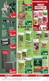 Aktueller Kaufland Prospekt mit Saatgut, "KNÜLLER", Seite 43