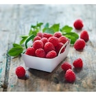 Carrefour Market Brantôme - Promo Framboise CARREFOUR Le Marché Promo Framboise CARREFOUR Le Marché à 1,99 € dans le catalogue Carrefour Market à Brantôme