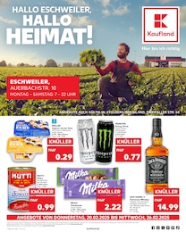 Kaufland Prospekt: "Aktuelle Angebote", 60 Seiten, 20.02.2025 - 26.02.2025