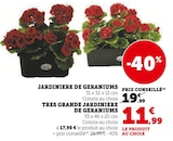 Jardiniere de geraniums en promo chez U Express Drancy à 11,99 €