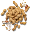 Amerik./ägypt. Erdnüsse XXL im aktuellen Kaufland Prospekt