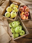Promo Pomme à 1,39 € dans le catalogue Intermarché Express à Vienne