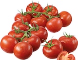 Deutschland Strauchtomaten bei EDEKA im Ascheberg Prospekt für 1,99 €