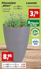 Pflanzkübel "Rillen" im Angebot bei Thomas Philipps in Gelsenkirchen Pflanzkübel "Rillen" Angebote bei Thomas Philipps Gelsenkirchen für 3,79 €