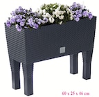 Aktuelles Rattan-Blumenkasten Angebot bei Wreesmann in Dresden ab 19,99 €