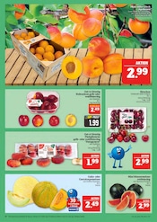 Aktueller Marktkauf Prospekt mit Kirschen, "AUSWAHL RIESIG, PREISE NIEDRIG", Seite 12