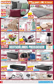 Tulpen im Norma Prospekt "Mehr fürs Geld" mit 20 Seiten (Mannheim)