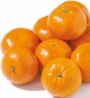 Mandarinen für 1,99 € bei Netto mit dem Scottie im Angebot Mandarinen im aktuellen Netto mit dem Scottie Prospekt