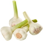 Frischer Knoblauch im Angebot bei REWE in Dresden Frischer Knoblauch Angebote bei REWE Dresden für 0,79 €