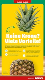 Aktueller Penny Prospekt mit Fleisch, "Wer günstig will, muss Penny.", Seite 7