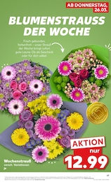 Deko im Kaufland Prospekt Aktuelle Angebote auf S. 63