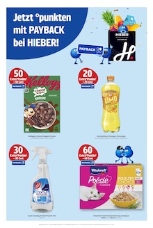 Waschmittel im Hieber Prospekt "Aktuelle Angebote" mit 18 Seiten (Freiburg (Breisgau))