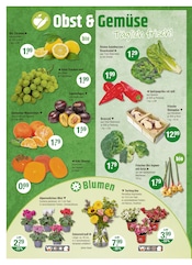 Aktueller V-Markt Prospekt mit Salat, "V-Markt einfach besser einkaufen", Seite 4
