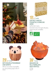 Promos Chauffage dans le catalogue "LE VILLAGE DE NOËL UNE FORÊT DE MAGIE" de Botanic à la page 27