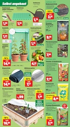 Werkzeug Angebot im aktuellen Thomas Philipps Prospekt auf Seite 7
