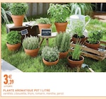 Promo Plante aromatique pot 1 litre à 3,39 € dans le catalogue Intermarché Super à Montbron