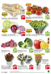Ähnliche Passierte Tomaten Angebote im Prospekt "Aktuelle Angebote" von E center in Reutlingen Ähnliche Angebote wie Passierte Tomaten im Prospekt "Aktuelle Angebote" auf Seite 3 von E center in Reutlingen