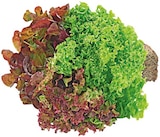 Wurzelsalat »Trio« Angebot in Ottenbach Wurzelsalat »Trio« im aktuellen Prospekt bei REWE in Ottenbach