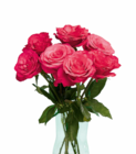 Aktuelles Großköpfige Hochland Rosen Angebot bei Netto Marken-Discount in Saarbrücken ab 1,99 €