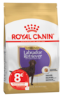 CROQUETTES LABRADOR  12KG - ROYAL CANIN en promo chez Animalis Colombes à 70,49 €