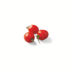 Cherrystrauchtomaten im aktuellen Lidl Prospekt